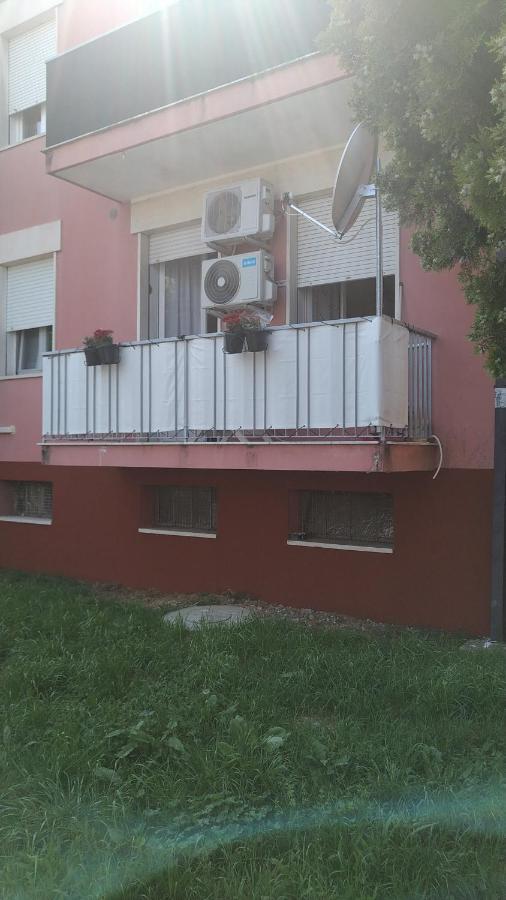 Appartamento Intero Bilocale Vicino All'Ospedale Падуя Екстер'єр фото